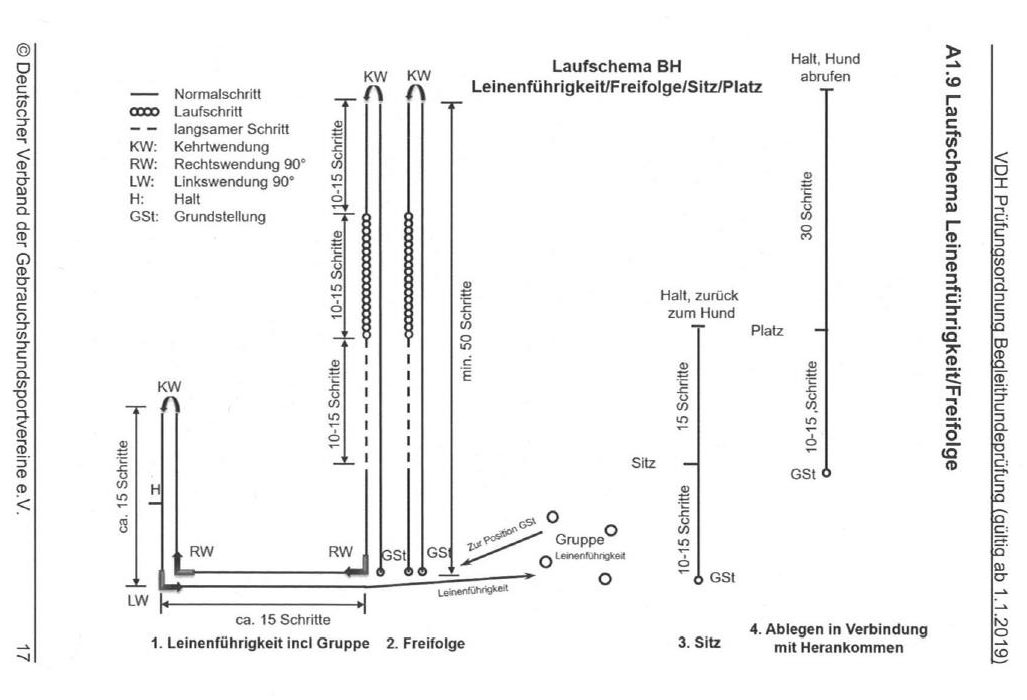 Grundausbildung II (Begleithundprüfung) GHV Walddörfer e.V. Grundausbildung II (Begleithundprüfung) GHV Walddörfer e.V.